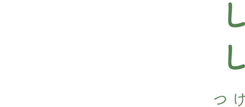あなたとわたしもっとなかよし